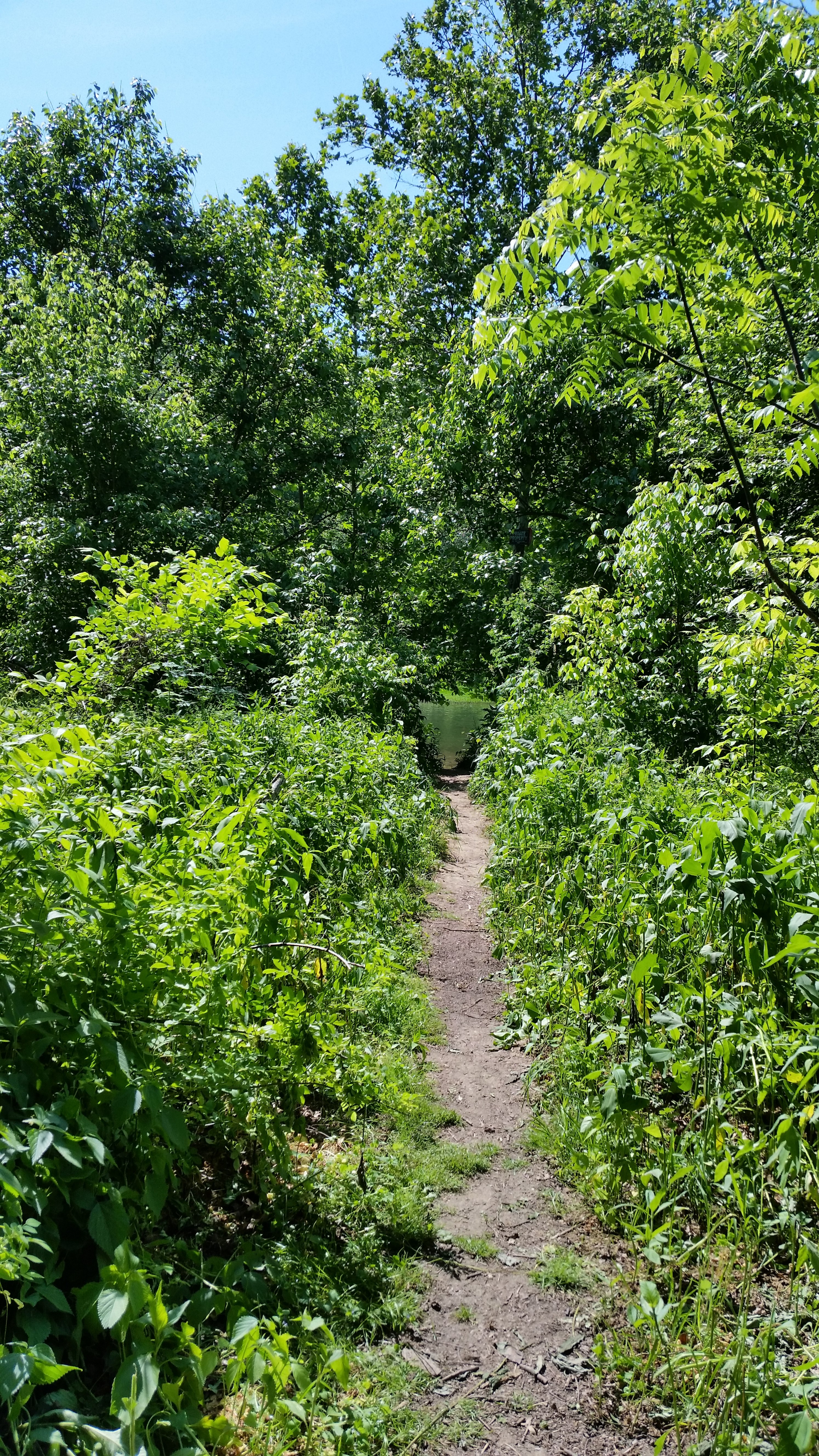 path