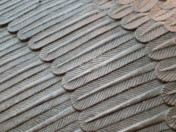 feathers