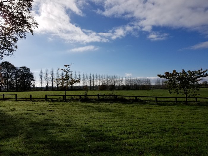 field